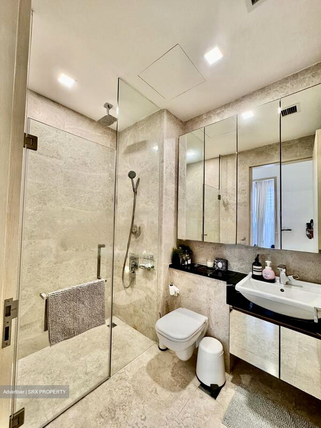 The Boutiq (D9), Apartment #461133921